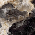 Керамогранит Onice Nero Signature Soft Naturale 120х120 Nexion Marble матовый универсальная плитка F12SGNK0GR0