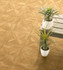 Керамогранит GT164VG Tango_GT Бежевый 41.2х41.2 Global Tile матовый напольная плитка
