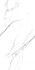 Керамогранит Platinum White Glossy 60x120 Art Ceramic полированный универсальная плитка