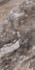Керамогранит Paradise Quarry Brown Polished Rec. 60x120 Etili Seramik  полированный универсальный ETI80546