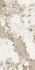 Керамогранит Forest Glossy 60х120 LV Granito полированный универсальная плитка СК000042632