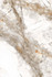 Керамогранит Premium Marble Gold, 600х1200х9, Full Lap, Aleyra полированный универсальный 000047