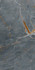 Керамогранит Vanity Pearl 60x120 Super polished Prissmacer полированный универсальный