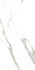 Керамогранит Statuario Rock Glossy 60х120 Eternal глянцевый универсальная плитка ETMAR1219GL60120