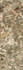 Декор Uniwersalny Dekor Botany Concrete Grey Continue Sciana Rekt. Mat 29,8x89,8 g1 Paradyz Ceramika матовая керамический S-R-298X898-1-UNIW.BOTA
