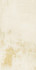 Керамогранит Ivory Natural 49,75x99,55 универсальный матовый