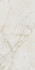Керамогранит Roma Gold 60x120 Calacatta Delicato Brill Fap Ceramiche полированный универсальный 36933