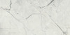 Керамогранит Light Calacatta 60x120 Dune полированный универсальный 188639