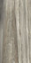 Керамогранит Etoile Tropical Mat 60x120 Ret (761678) REX Ceramiche матовый универсальный