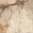 Керамогранит Ajmer Gold Mat 60x60 Realistik матовый универсальный 57169