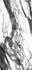 Керамогранит Painting White 120x280 Polished (6 мм) Zodiac Ceramica полированный универсальная плитка MN066AP281206