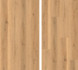SPC ламинат Evofloor Oak Beige (Дуб Бежевый) Home 42 класс 1220х183х4 мм (каменно-полимерный)