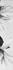 Бордюр Картье Серый 01 7,5x40 Unitile/Шахтинская плитка матовый керамический 010212001797
