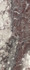 Керамогранит Breccia Viola Pol Rect 120x278 APE Ceramica полированный универсальная плитка A041057