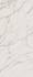 Настенная плитка Marvel Calacatta 50x120 матовая керамическая
