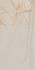 Керамогранит Amaranto Ivory Satin Ret 60x120 Cercom сатинированный универсальная плитка 1077156