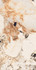 Керамогранит Patagonia Gold 9 mm Poli 60х120 Artcer Marble полированный универсальная плитка 1066