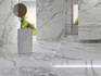 Керамогранит Statuario Venato 120x240 Polished (9 мм) Zodiac Ceramica полированный универсальный MN027AP241209
