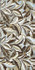 Декор Botanical6 12Lp-60x120 La Faenza Monoceram керамогранит лаппатированный (полуполированный) 38471