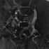Керамогранит NR105 Dalim Black Primavera 60x60 матовый универсальный 00000190233
