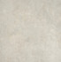 Керамогранит Bien 600x600x8.5 Arcides Bone Rec матовый