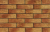 Клинкерная Western Dakota 9607 Фасадная Rustic настенная плитка
