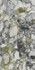 Керамогранит Marmi Classici Luxury White Luc Shiny 60x120 Ariostea полированный универсальный G010917