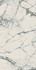 Керамогранит Abs Wh6 260 Lp 120х260 Imola Ceramica лаппатированный (полуполированный) универсальный