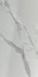 Керамогранит Calacatta White 600x1200x8 full body polished (sinking ink) Basconi Home полированный универсальный BHW-0021