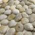 Мозаика Marble Mosaic Pebbles White Stone Pol галька 30х30 см глянцевая, белый
