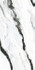 Керамогранит Panda White 160x320 Polished (6 мм) Zodiac Ceramica полированный универсальный MN072AP321606