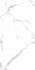 Керамогранит Calacatta White 600x1200x8 full body polished (sinking ink) Basconi Home полированный универсальный BHW-0021