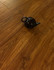 Ламинат MostFlooring Brilliant 11711 1215х240х12 12 мм 33 класс с фаской
