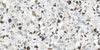 Керамогранит Terrazzo White Ntceramic 60х120 матовый универсальный NTT99606M