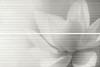 Панно HGD/A200/2x/12102R Борсари, 2 части 25х75, Обрезной 50х75 Kerama Marazzi матовое керамическое