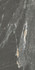 Керамогранит Elements Dark 60х120 Porcelanite Dos матовый универсальная плитка 203066