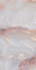 Керамогранит Luxury Stone SS12057 Pol 60x120 Fusure Ceramic полированный универсальная плитка
