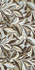 Декор Botanical6 12Lp-60x120 La Faenza Monoceram керамогранит лаппатированный (полуполированный) 38471