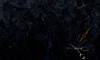 Керамогранит Solo Black 80x80 41ZERO42 матовый напольный 4100515
