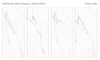 Керамогранит Manhattan White Elegance 120х280 Staro Slab Polished полированный универсальная плитка С0005764