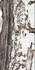 Керамогранит Namibia White 80x160 полированный