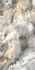 Керамогранит PR215 Honey Onyx Sky Primavera 60x120 полированный универсальный