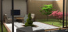 Керамогранит Riverstone Ivory Rectified Matt 60х120