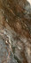 Керамогранит Amazona Leviglass Coffee 60х120 Geotiles полированный универсальный