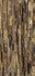 Керамогранит 0502013 The Wild Spirit Tiger Gold Lux 59.6x119.2 Roberto Cavalli полированный универсальная плитка