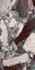 Керамогранит Vintage Wine Exotic Seron 80x160 полированный напольный