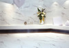 Керамогранит Carrara X Satin 60x60 Realistik сатинированный универсальный 58665