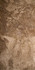 Керамогранит Fossil Brown Rectified Full Lappato 60х120 Seranit лаппатированный (полуполированный) универсальная плитка