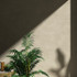 Керамогранит Beton Beige Mat 60x120 Eurotile Ceramica матовый универсальная плитка 7930138704613