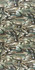 Декор 03591 Botanic Lev Ret 60x119,5 полированный керамогранит